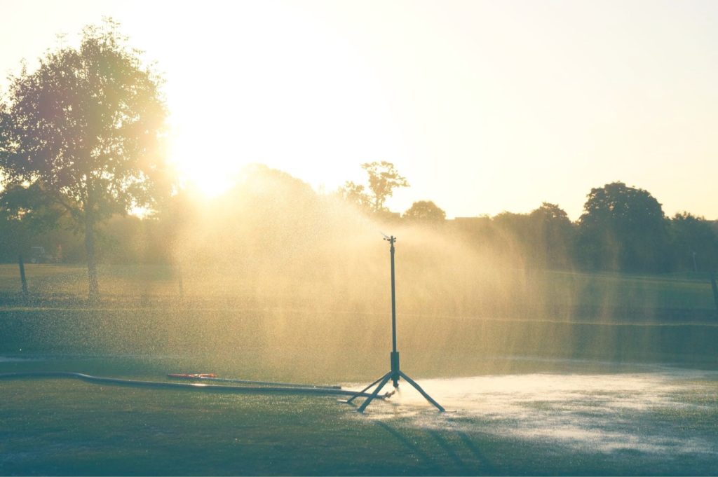 Read more about the article Kindness is free – sprinkle that shit everywhere!