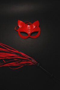 kvinderudenfilter - submissiv - mr.grey